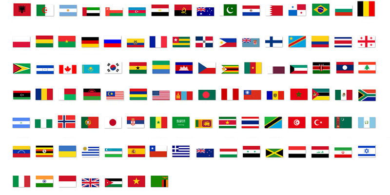 brake master cylinder customers countries