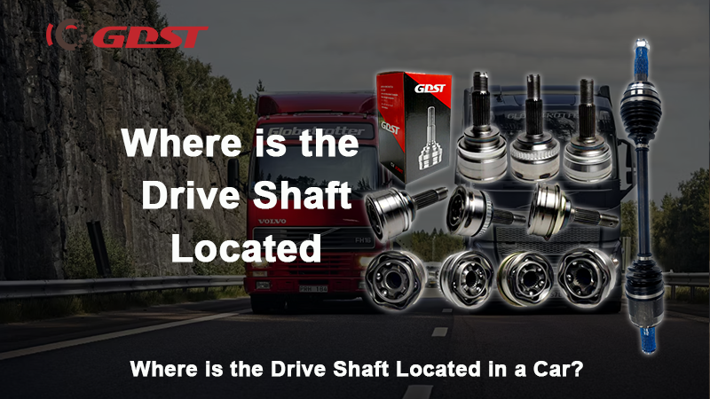 Where is the Drive Shaft Located